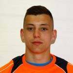 兹拉特科·巴甫利斯