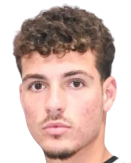 塔纳西斯·帕帕尼科洛普洛斯