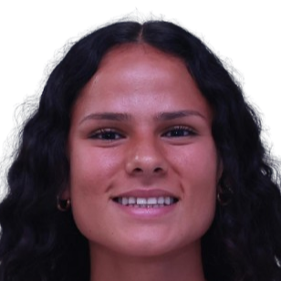 丹尼斯·卡斯特罗