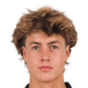 梅里恩·范德维尔