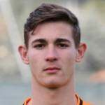 托马索·安德洛尼