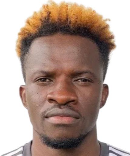 奇内梅雷姆·戈德温