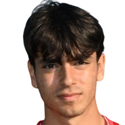 达尼洛·特雷菲莱蒂