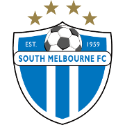 南墨尔本女足  logo