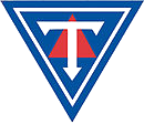 廷达斯托尔女足  logo