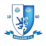 北费利比联logo