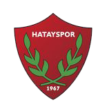 哈塔斯堡U19  logo