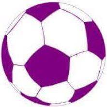 桑迪FC  logo