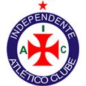 瓦尔德佩纳斯室内足球队  logo