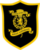 利文斯顿女足  logo