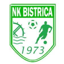 比斯特里察斯雷尼亚 logo