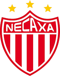 NecaxaU19