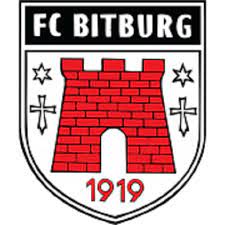 比特堡  logo