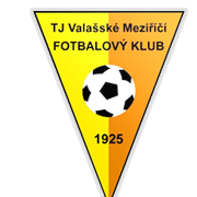 瓦拉什斯凯 logo