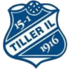 蒂勒 logo