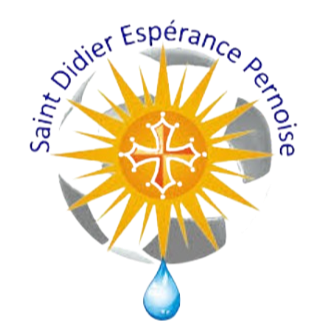 圣迪迪埃佩罗诺斯女足 