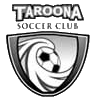 塔洛纳女足  logo