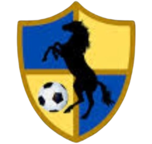 https://cdn.sportnanoapi.com/football/team/0cf0e53eca40eee5d07c8f85e1425963.png