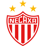 內卡薩  logo