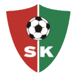 SK圣约翰  logo