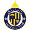 圣卡洛斯青年队  logo