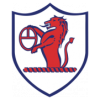 https://cdn.sportnanoapi.com/football/team/11fb72f7b5eacfc881ee11bac75871fa.png