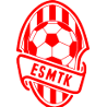 艾尔瑟贝堤ESMTK  logo