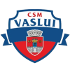 CSSMVaslui