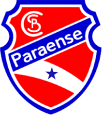 帕拉恩瑟PA  logo