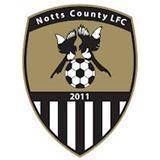 诺茨郡  logo