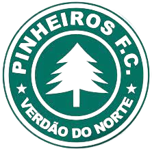 皮涅罗斯  logo