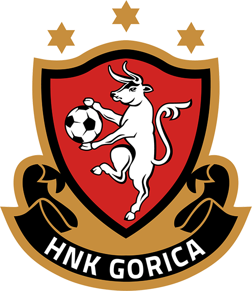 HNK戈里察U19  logo