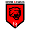 弗拉门戈AR logo