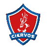 切尔沃FC logo