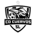 库尔沃斯FC 