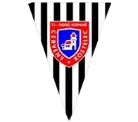 切尔韦尼 logo