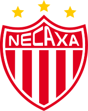 内卡萨女足 logo