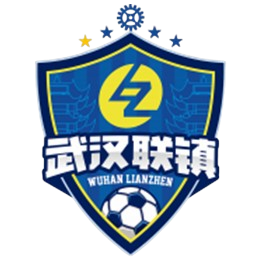 武汉联镇logo