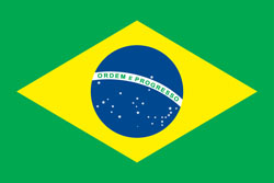 巴西女足logo