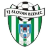 霍尔尼布里扎  logo
