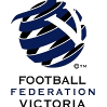 南部足球中心女足 logo