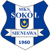 索科尔斯尼亚瓦  logo