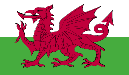威尔士女足logo