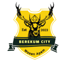 Berekum City 