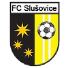 FC流冰  logo