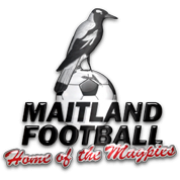 梅特蘭FC后備隊 logo