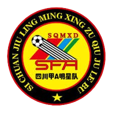 四川全兴甲A明星队 