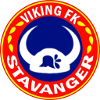 维京U19  logo