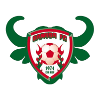 https://cdn.sportnanoapi.com/football/team/2405bd03a965133ef0e00fa30618e035.png