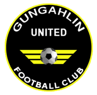 甘加林联女足logo